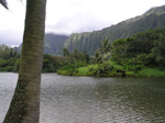 hooma4