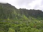 hooma6